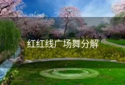 红红线广场舞分解