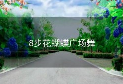 8步花蝴蝶广场舞