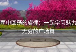 雨中回荡的旋律：一起学习魅力无穷的广场舞