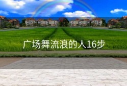 广场舞流浪的人16步