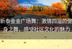 新泰金金广场舞：激情四溢的健身之舞，感受社区文化的魅力