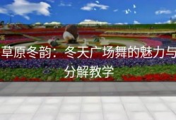草原冬韵：冬天广场舞的魅力与分解教学