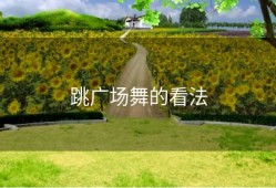 跳广场舞的看法