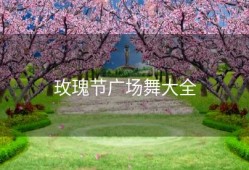 玫瑰节广场舞大全