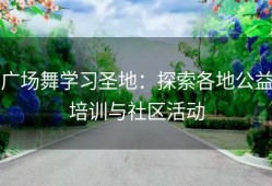 广场舞学习圣地：探索各地公益培训与社区活动
