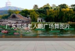 广东顺德老人跳广场舞图片