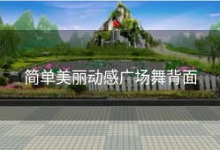 简单美丽动感广场舞背面