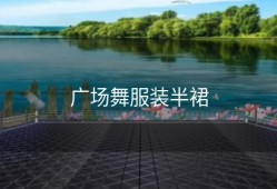 广场舞服装半裙