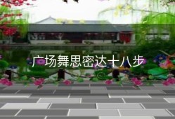 广场舞思密达十八步