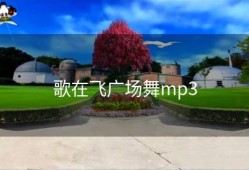 歌在飞广场舞mp3