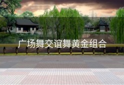 广场舞交谊舞黄金组合