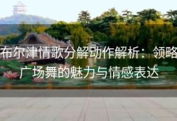 布尔津情歌分解动作解析：领略广场舞的魅力与情感表达