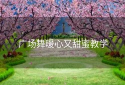 广场舞暖心又甜蜜教学