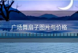 广场舞扇子图片与价格