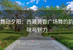舞动夕阳：西藏黄昏广场舞的韵味与魅力