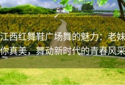 江西红舞鞋广场舞的魅力：老妹你真美，舞动新时代的青春风采