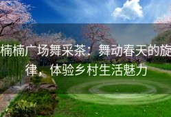 楠楠广场舞采茶：舞动春天的旋律，体验乡村生活魅力