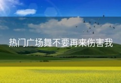 热门广场舞不要再来伤害我