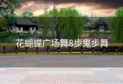 花蝴蝶广场舞8步鬼步舞
