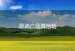 廖弟广场舞恰恰