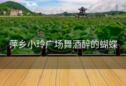 萍乡小玲广场舞酒醉的蝴蝶