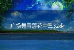 广场舞雪莲花中三32步