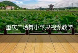 重庆广场舞小苹果视频教学