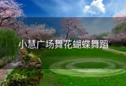 小慧广场舞花蝴蝶舞蹈