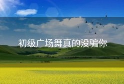 初级广场舞真的没骗你