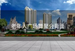 老年人广场舞聚会背面