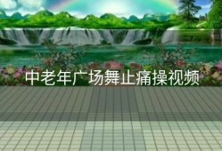 中老年广场舞止痛操视频