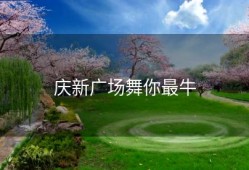 庆新广场舞你最牛