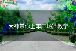 大神带你上车广场舞教学