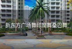 新东方广场舞印度舞桑巴舞