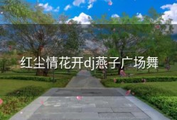 红尘情花开dj燕子广场舞