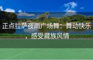 正点拉萨夜雨广场舞：舞动快乐，感受藏族风情