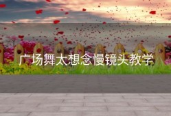 广场舞太想念慢镜头教学