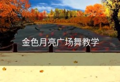 金色月亮广场舞教学