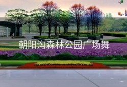 朝阳沟森林公园广场舞