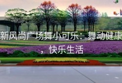 新风尚广场舞小可乐：舞动健康，快乐生活
