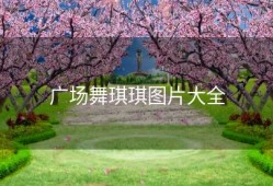 广场舞琪琪图片大全