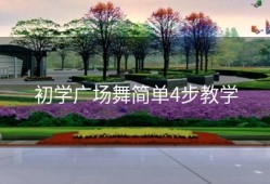 初学广场舞简单4步教学