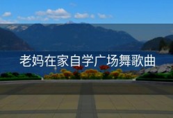 老妈在家自学广场舞歌曲