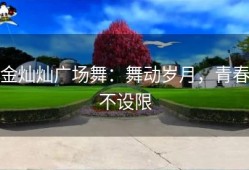 金灿灿广场舞：舞动岁月，青春不设限