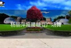 杨丽萍瘦腰糖豆广场舞