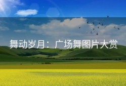 舞动岁月：广场舞图片大赏