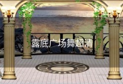 露底广场舞超清