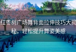 红枣树广场舞背面拉伸技巧大揭秘，轻松提升舞姿美感