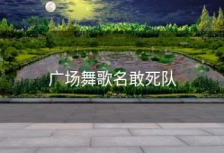 广场舞歌名敢死队