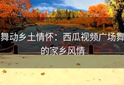 舞动乡土情怀：西瓜视频广场舞的家乡风情